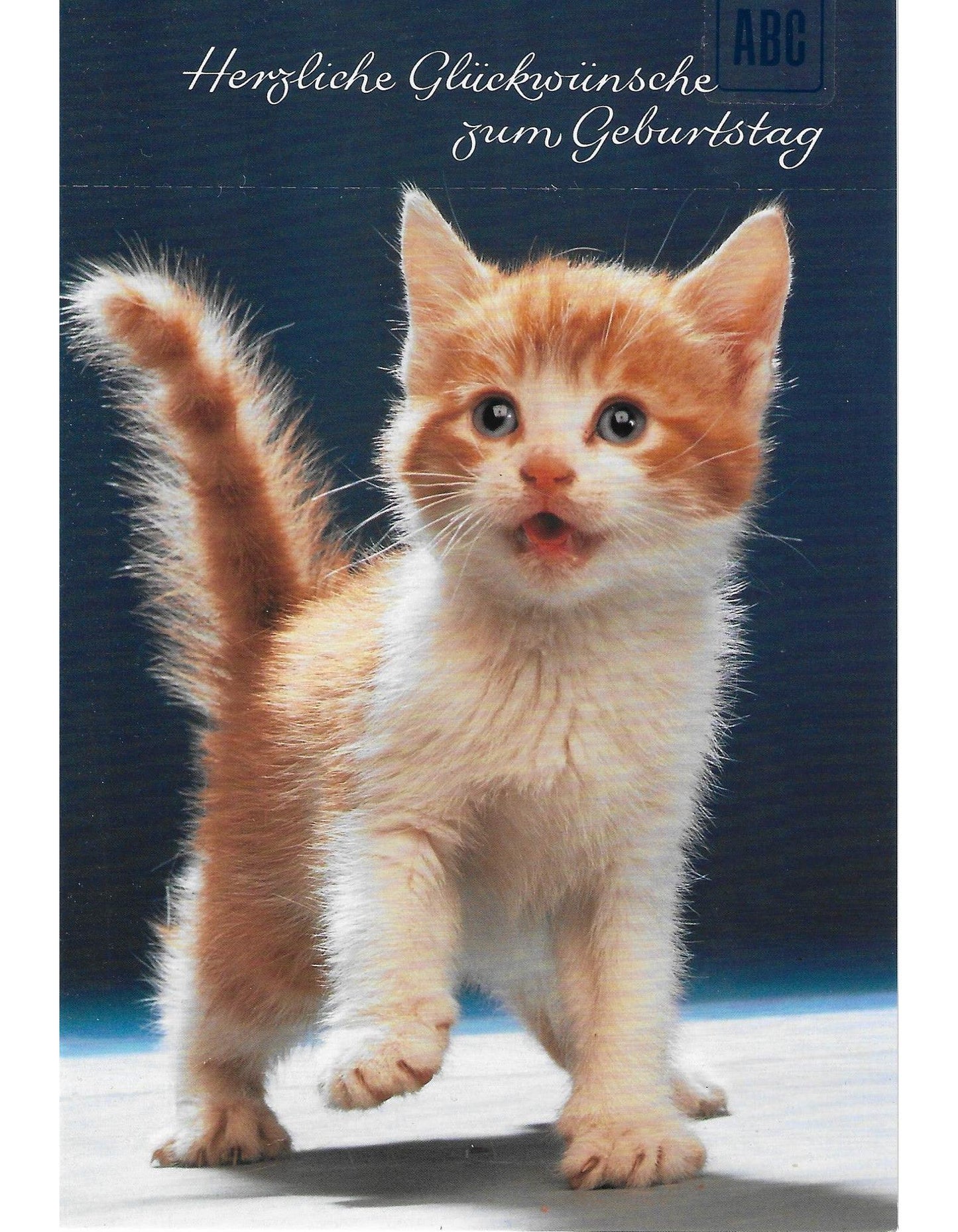 Glückwunschkarte "Herzliche Glückwünsche zum Geburtstag" B6