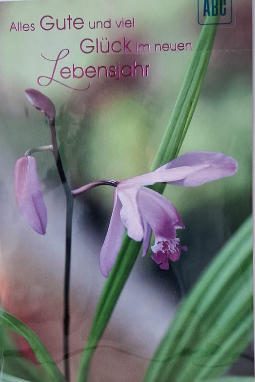 Alles Gute und viel Glück im neuen Lebensjahr(B6)