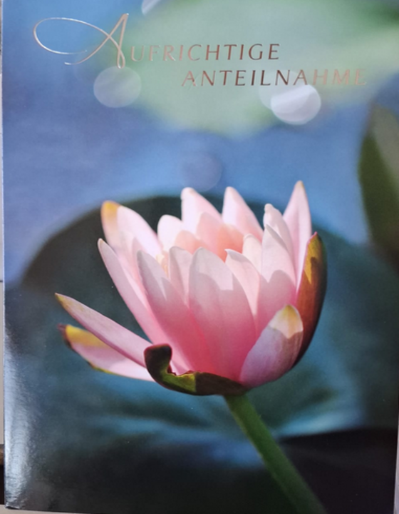 Aufrichtige Anteilnahme (B6)