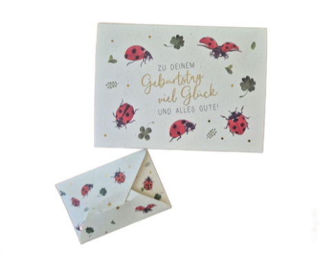 Geldbriefbox "Zu Deinem Geburtstag viel Glück und alles Gute" (11 x 8 cm)