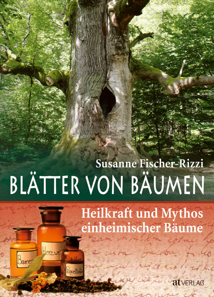 Blätter von Bäumen (Susanne Fischer-Rizzi)