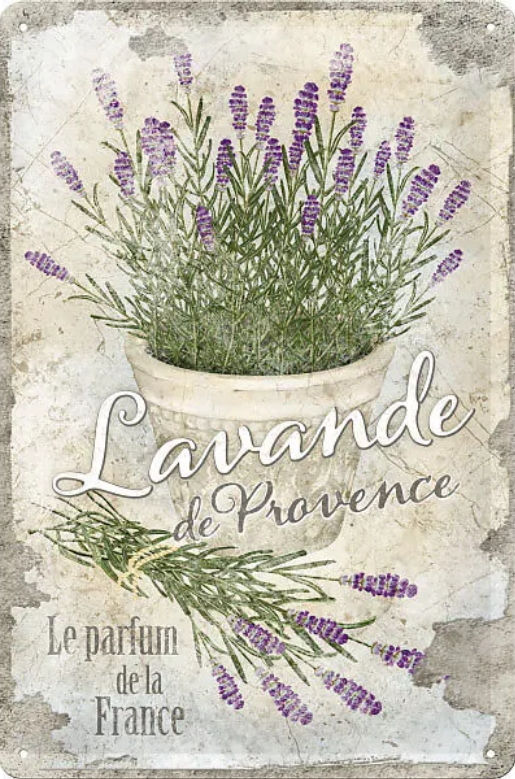 Lavande de Provence