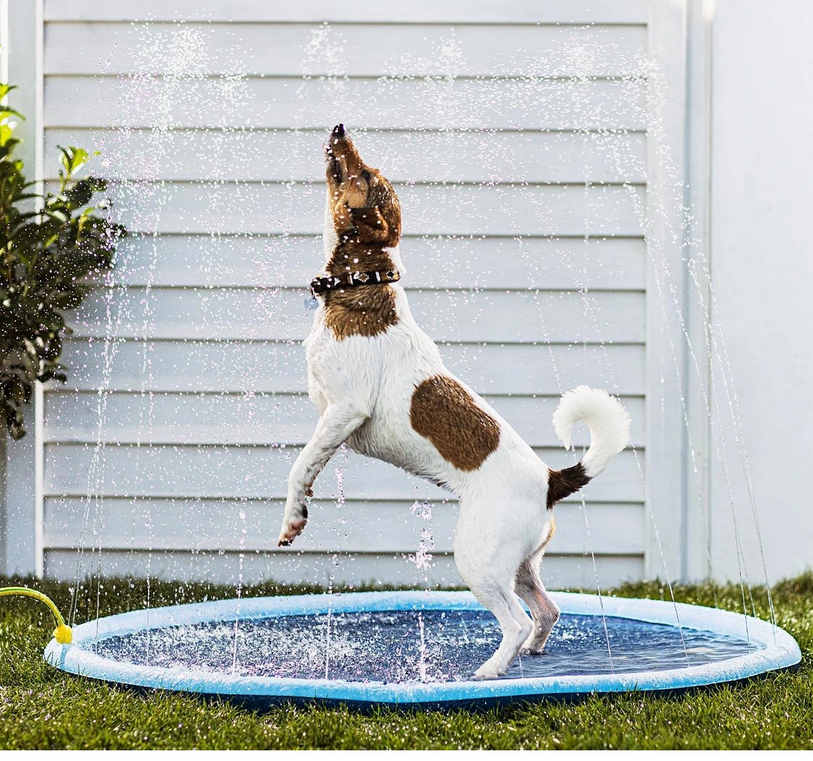 Wasserspielmatte für Hunde