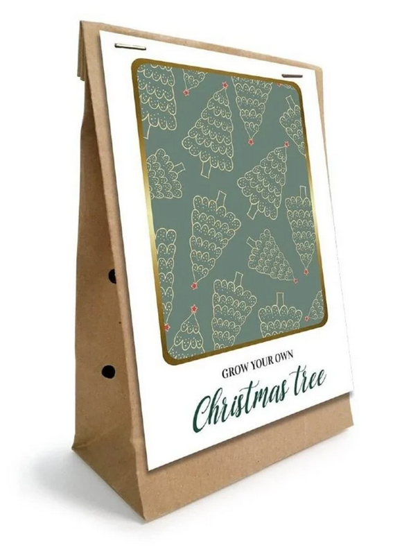 Grow your own Christmas Tree