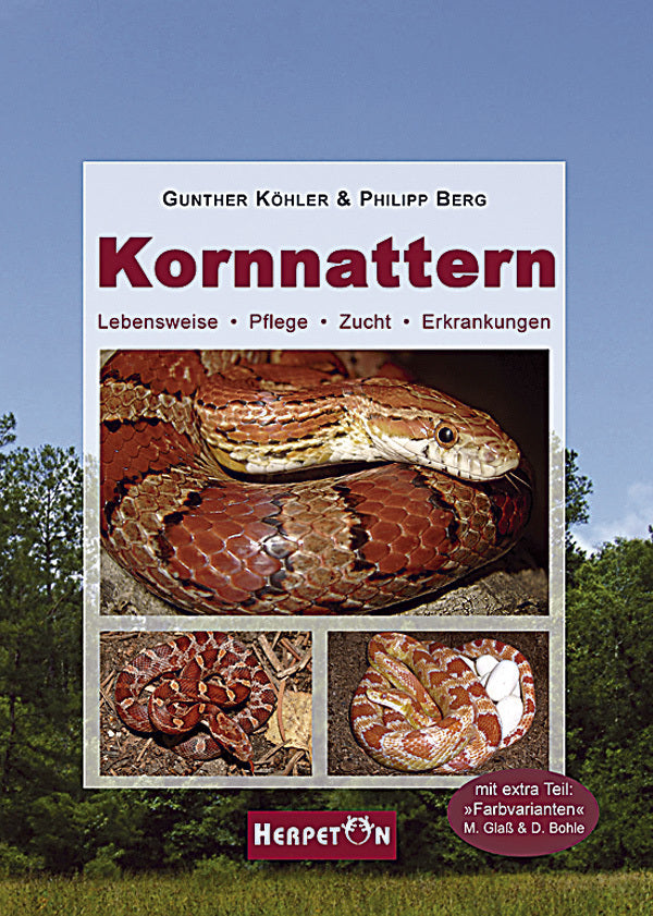 Kornnattern (Günther Köhler)