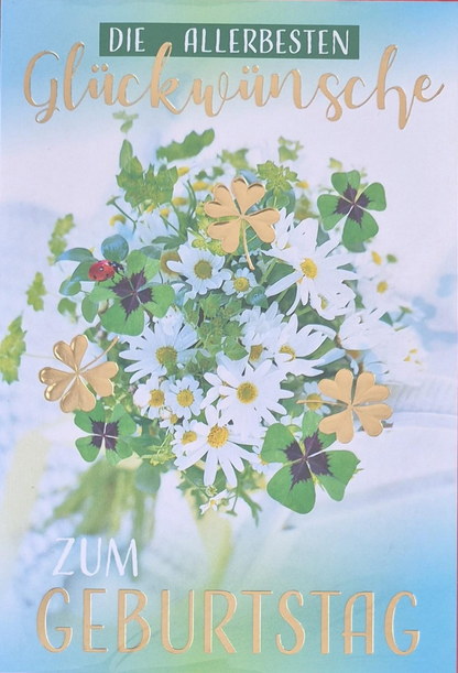 Die allerbesten Glückwünsche zum Geburtstag (B6)