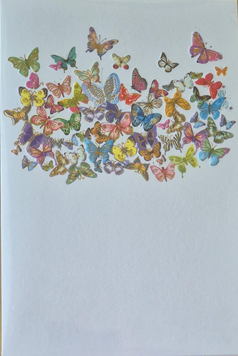 Schmetterlinge (B6)