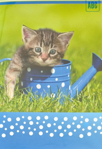 Katze in Giesskanne (B6)