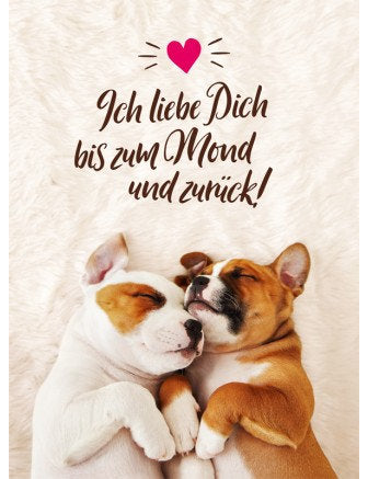 Ich liebe Dich bis zum Mond und zurück