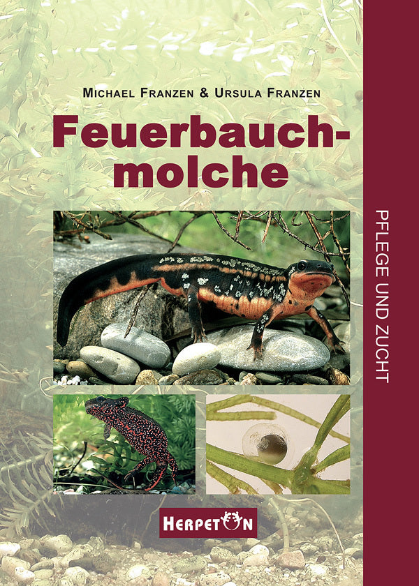 Feuerbauchmolche (Michael Franzen)