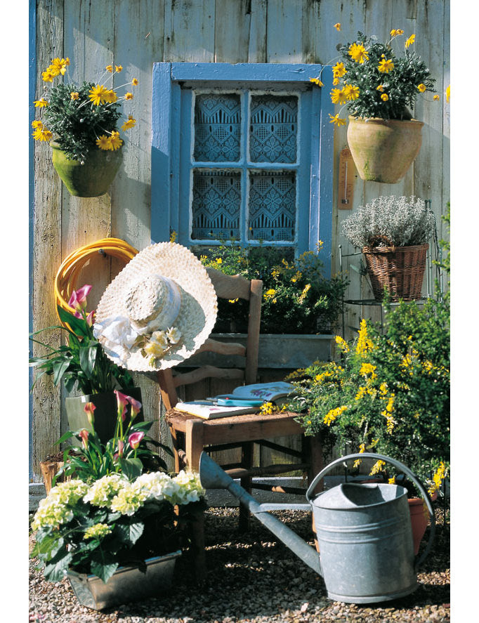 DK Emotion Hauswand M Blauem Fen Emotion