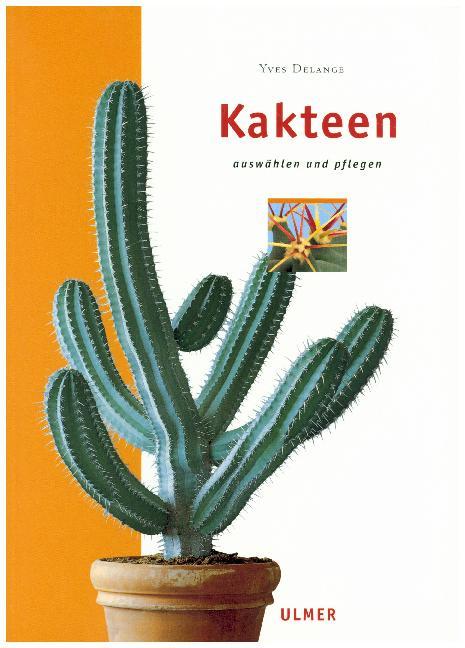 Kakteen (Yves Delange)