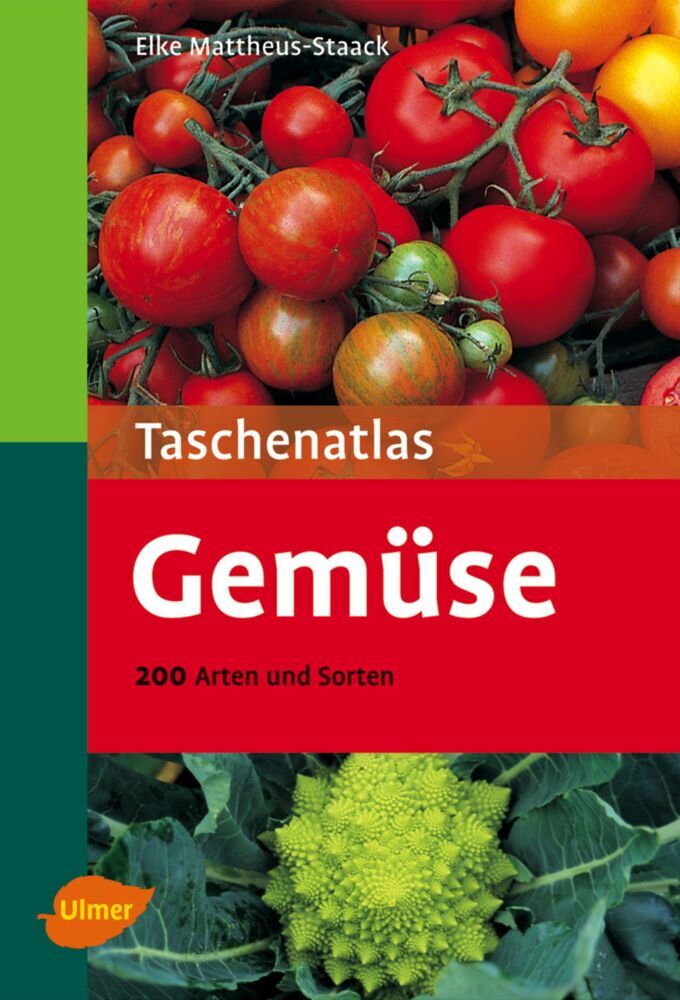 Gemüse (Elke Mattheus-Staack)