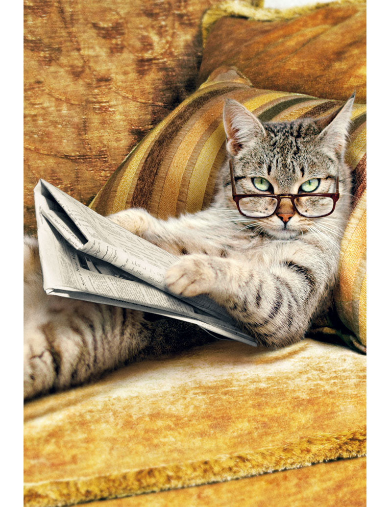 DK Premium Line Avanti