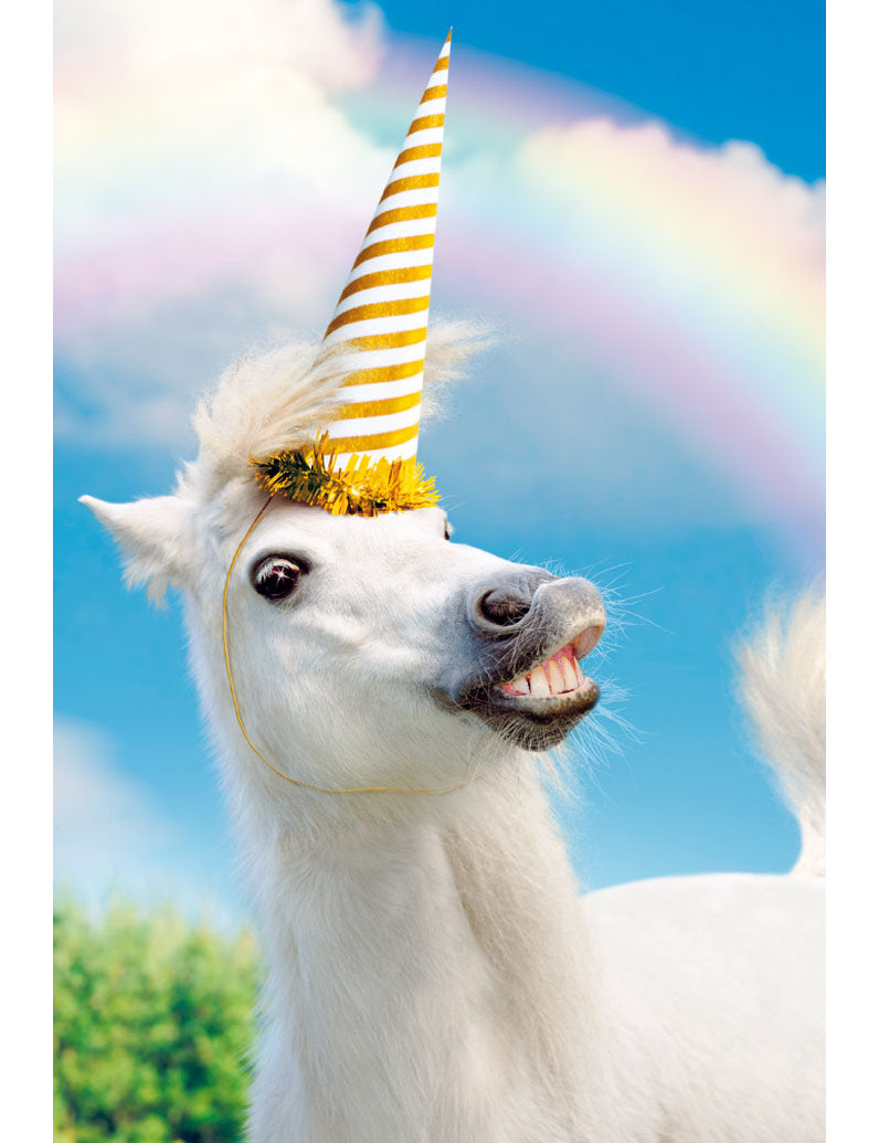 DK Premium Line Avanti