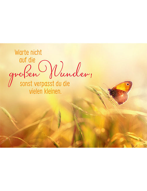 Warte nicht auf die grossen Wunder...