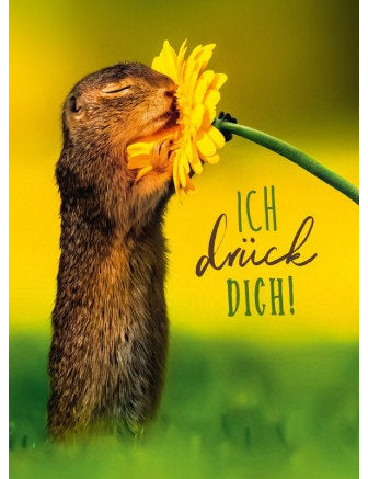 Ich drück Dich!