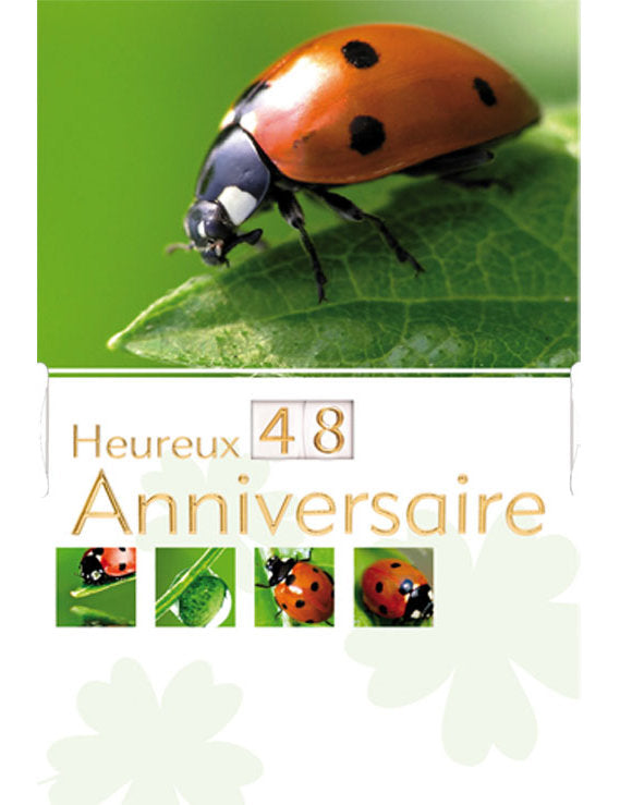 CD Anniversaire avec disque 11-265