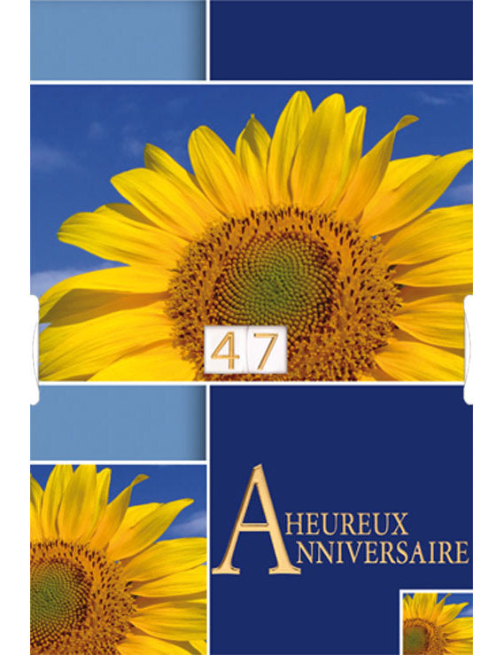 CD Anniversaire avec disque 11-270