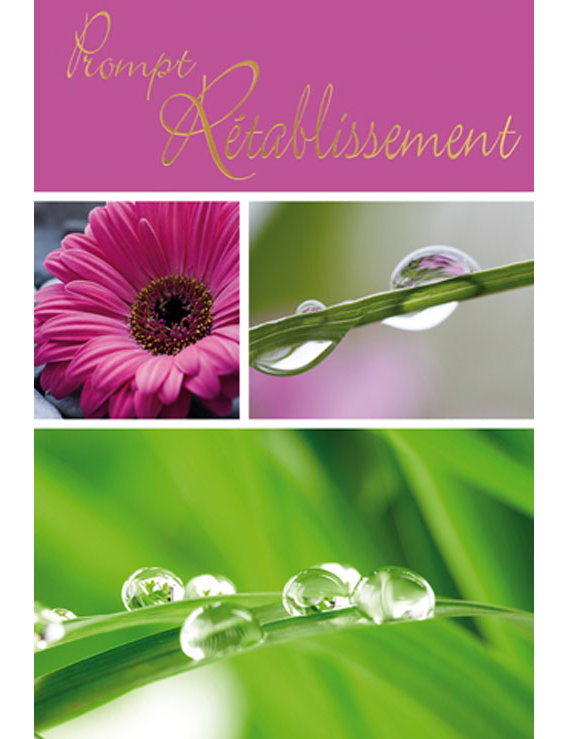 CD Rétablissement 22-406