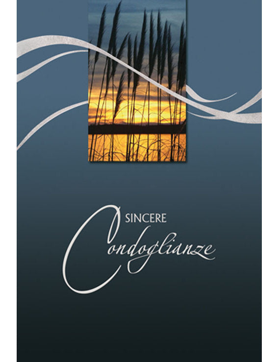 Biglietto Sincere Condoglianze 2-3345