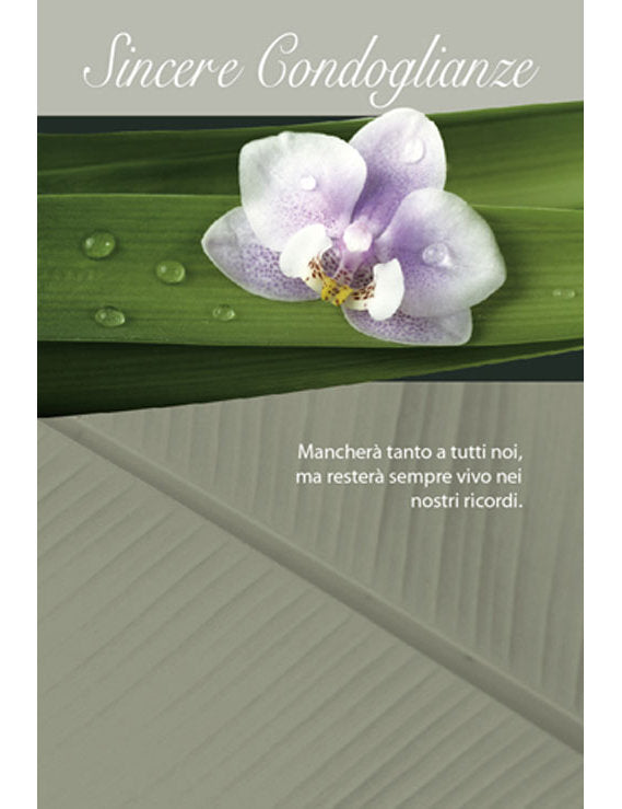 Biglietto Sincere Condoglianze 2-3418