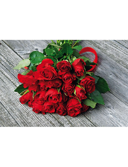 DK Blanco Foto Rosenstrauss