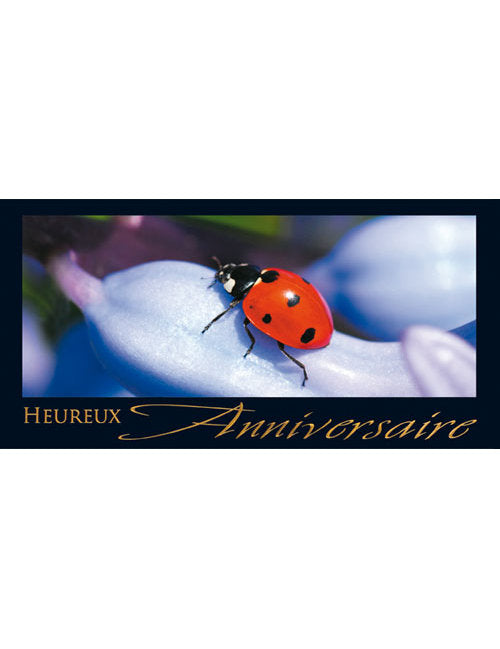 CD Anniversaire A6/5 3-1203