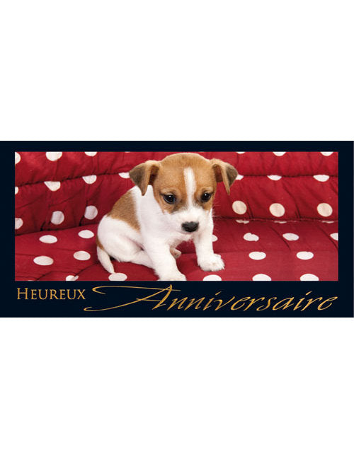 CD Anniversaire A6/5 3-1216