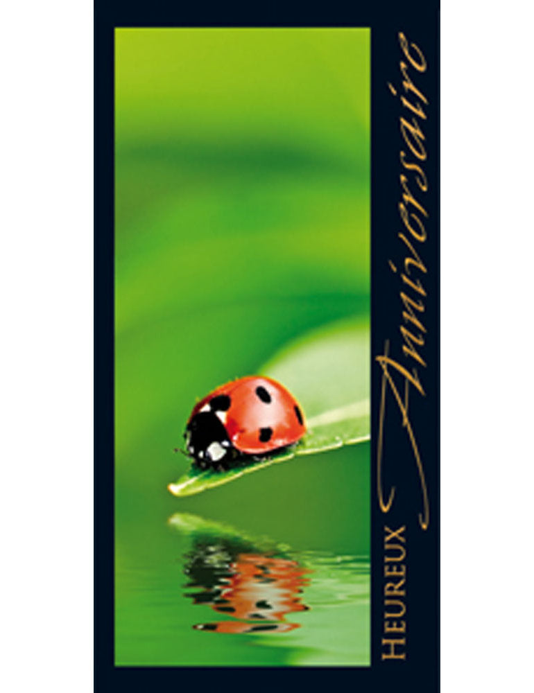 CD Anniversaire A6/5 3-1221