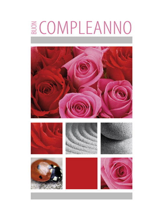 Biglietto Compleanno 4-4791