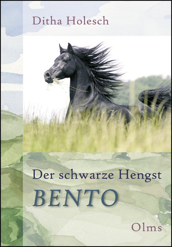 Der schwarze Hengst Bento (Ditha Holesch)