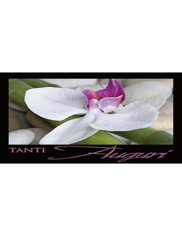 Tanti Auguri: Fiori die orchidea