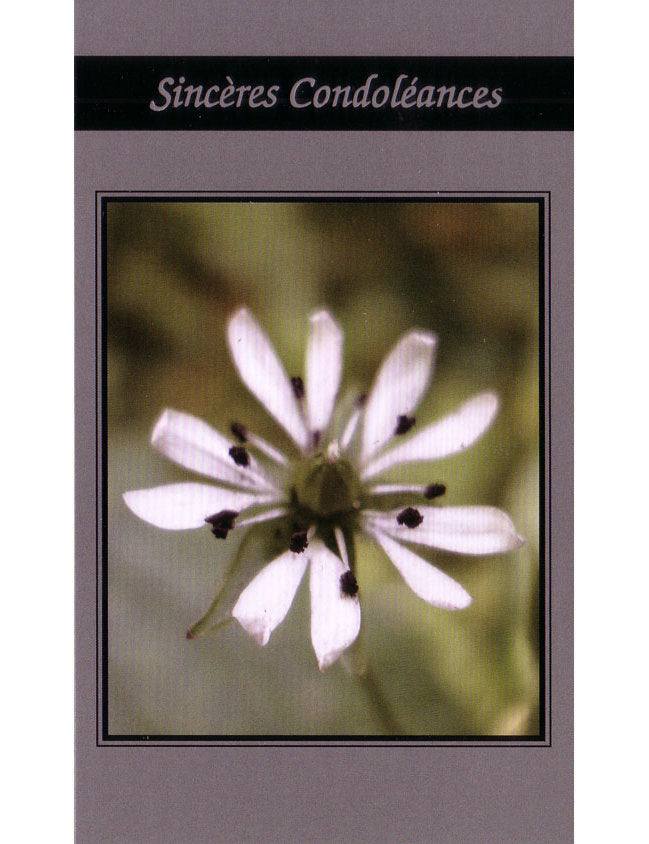 Doppelkarte. Sincères Condoléances