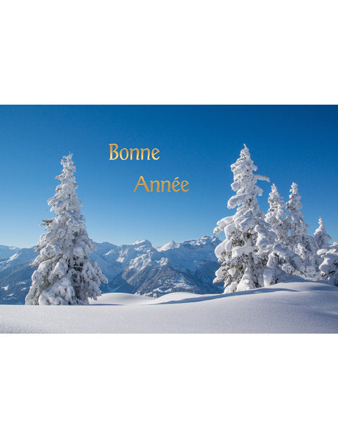 Carte double Nouvel An 98-4480