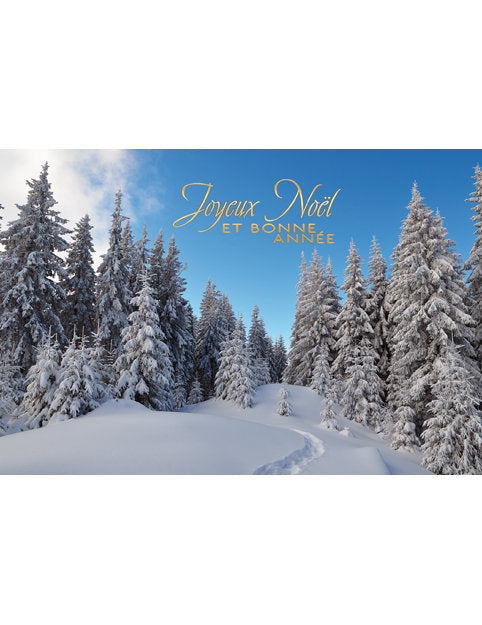 Carte double Noël 98-4484