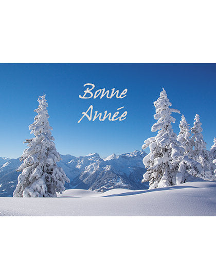 Cartes double pack Bonne Année 5 Ex.