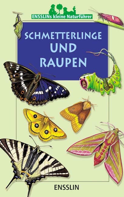 Schmetterlinge und Raupen (Léon Rogez)