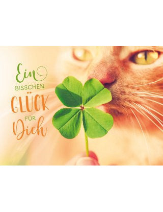 Ein bisschebn Glück für Dch