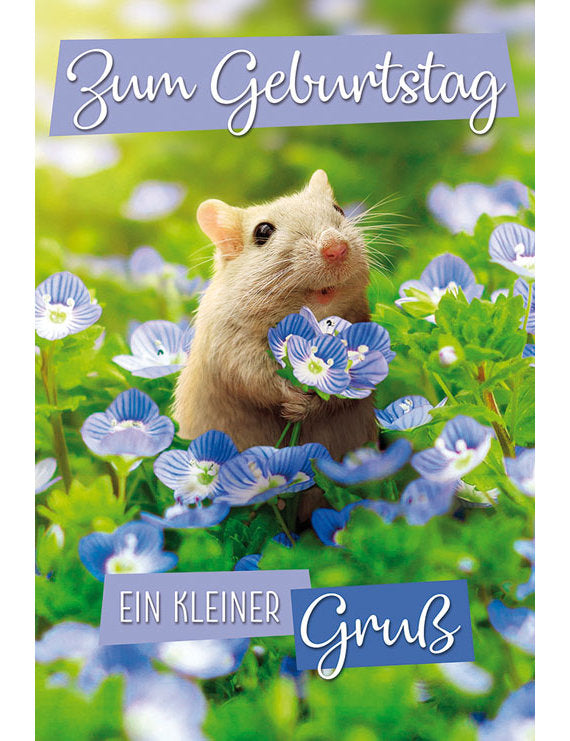 Zum Geburtstag ein kleiner Gruss