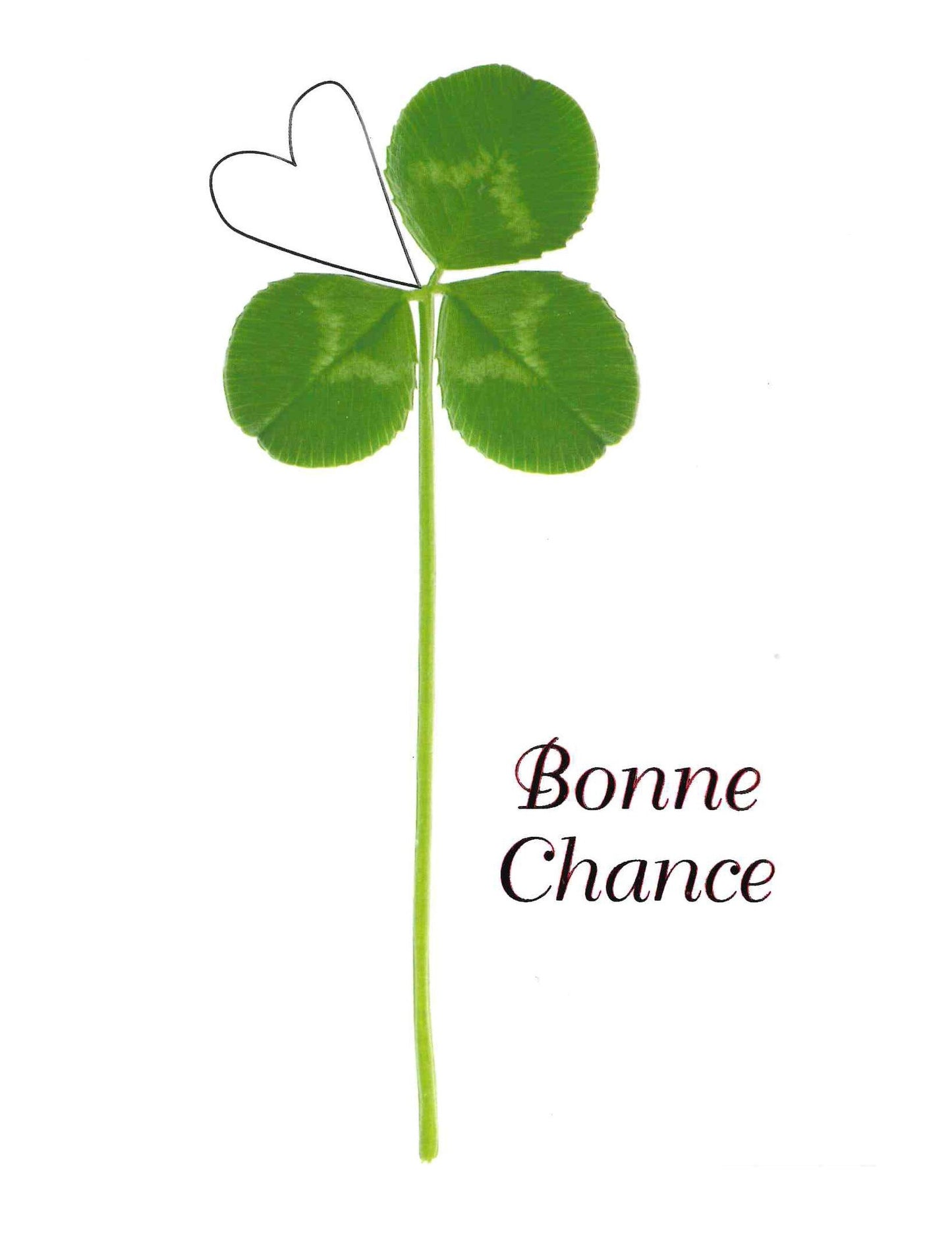 Doppelkarte. Bonne Chance