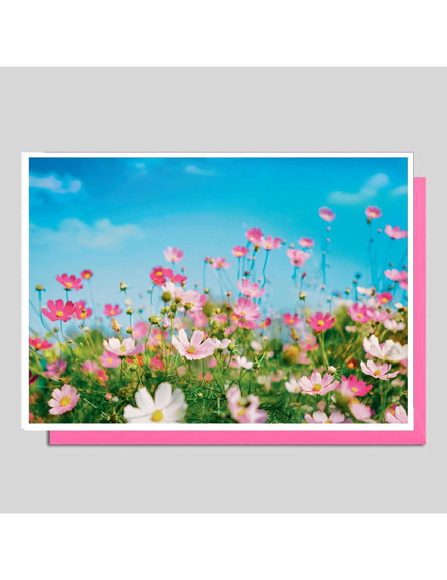 Doppelkarte. Fotokarte Blumenwiese / blanko