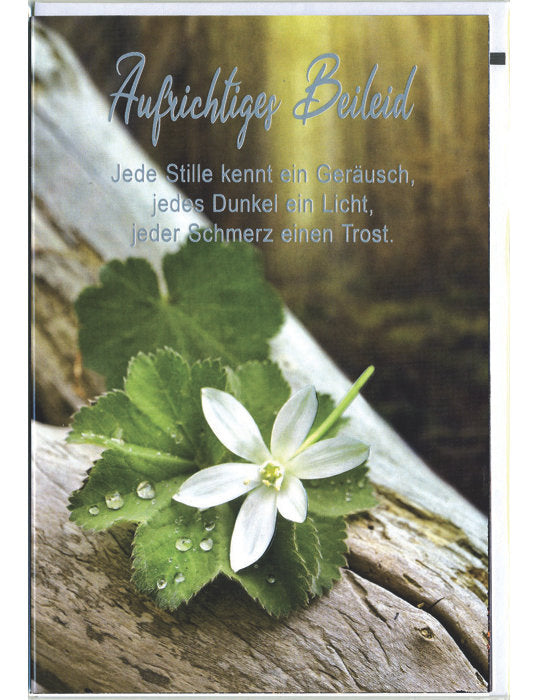 Aufrichtiges Beileid