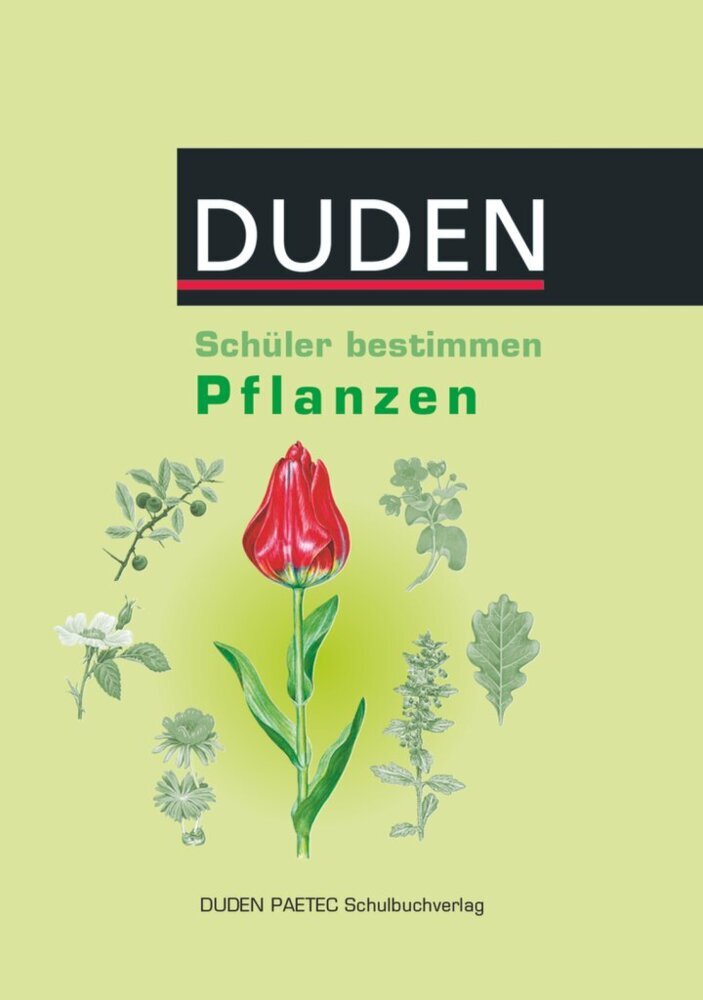 Schüler bestimmen (Christa Pews-Hocke)