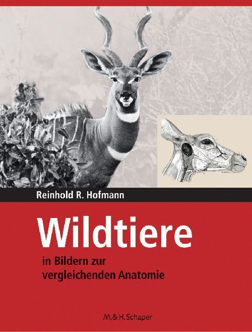 Wildtiere in Bildern zur Vergleichenden Anatomie (Reinhold R. Hofmann)