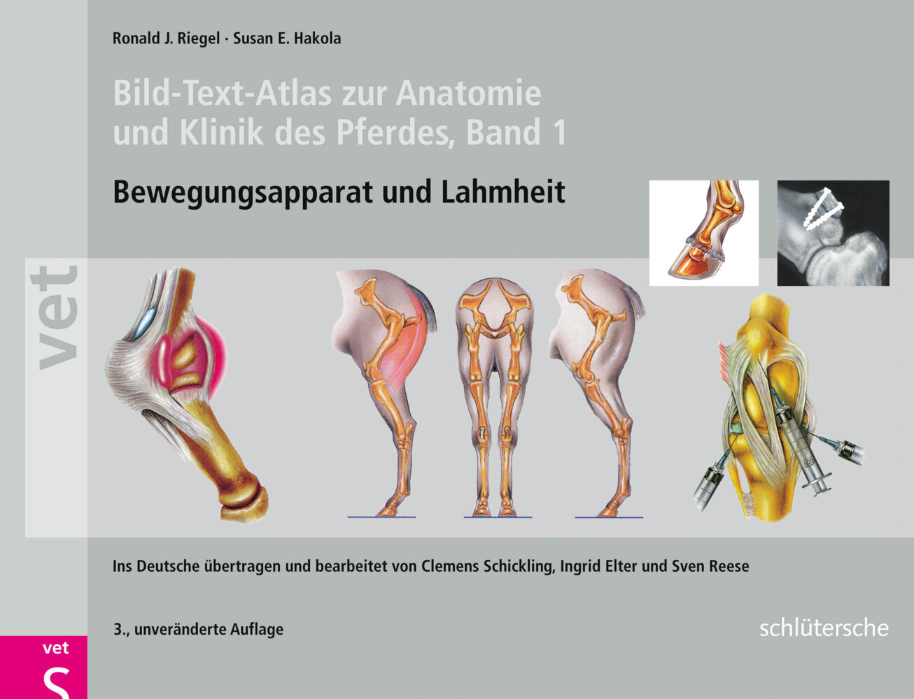 Bild-Text-Atlas zur Anatomie und Klinik des Pferdes.Bd.1 (Ronald J. Riegel)