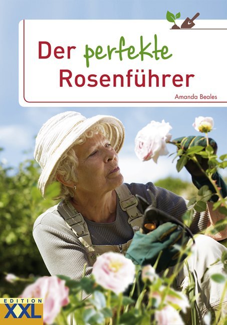 Der perfekte Rosenführer (Amanda Beales)