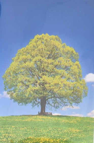 Blanko ( 7 x 10 cm )