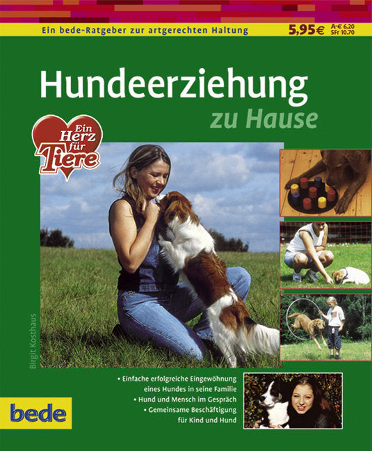 Hundeerziehung zu Hause (Birgit Kosthaus)