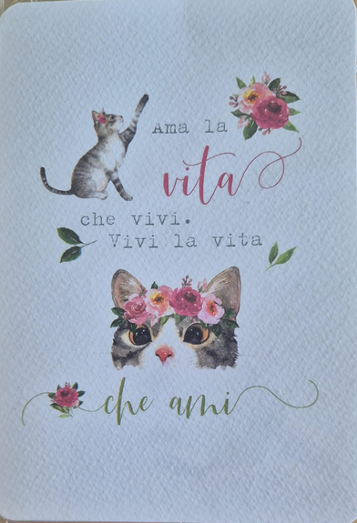 Ama la vita che vivi.. (B6)